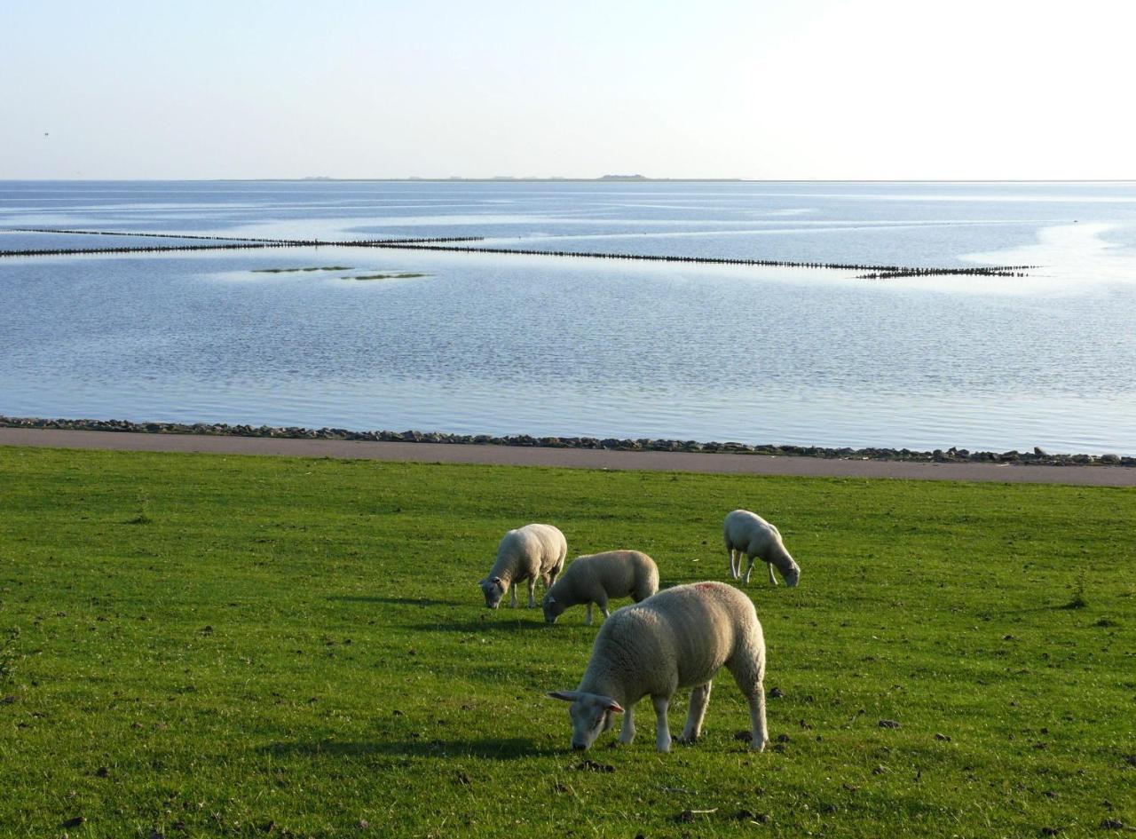 Haus-Halligblick-Ferienwohnung-Hamburger-Hallig Dagebüll Exterior foto